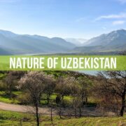 Nature travel Uzbekistan