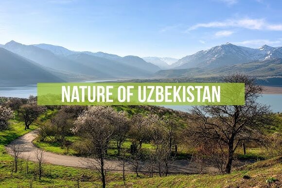 Nature Calls UZ: Answer the Wild Heart of Uzbekistan