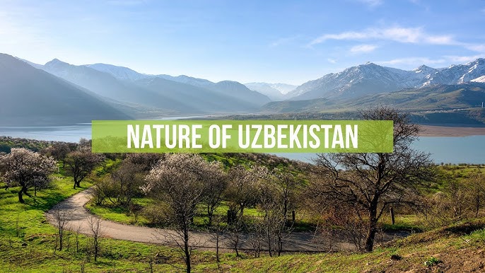 Nature travel Uzbekistan
